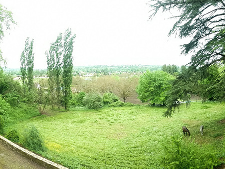 A vendre chateau Terrasson la Villedieu 24120; 715 000 € 