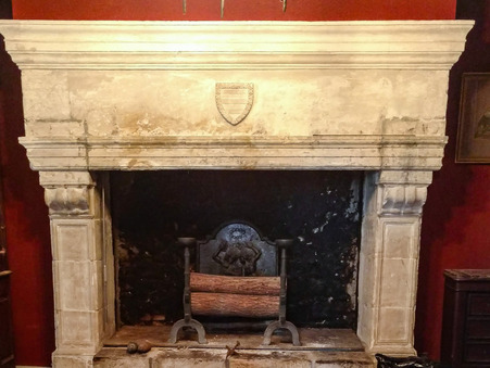 A vendre chateau Terrasson la Villedieu 24120; 715 000 € 