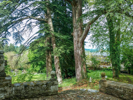 Chateau sur Terrasson la Villedieu ; 715 000 €  ; A vendre Réf. 135