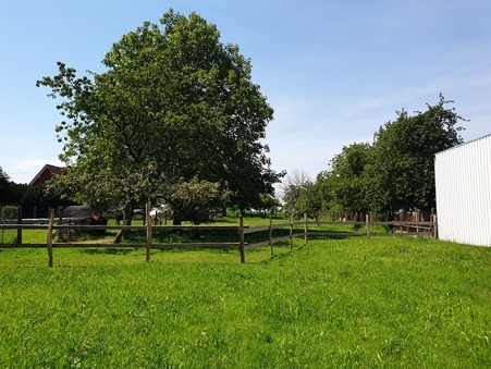 A vendre maison Drusenheim 67410; prix nous consulter