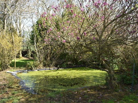 Maison sur Luneray ; 304 000 € ; A vendre Réf. 6006c