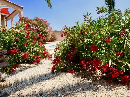 A vendre maison La Palme 11480; prix nous consulter