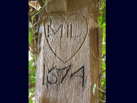 Vente propriété 170 000 € Nyoiseau