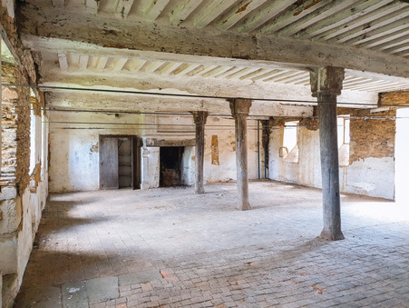 Vente propriété 170 000 € Nyoiseau