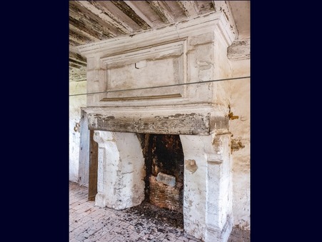 Achat propriété Nyoiseau Réf. 141