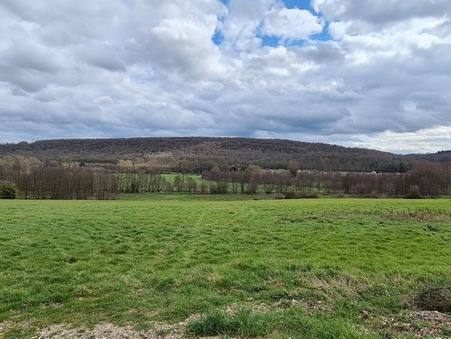 RADEPONT 54 000 €
