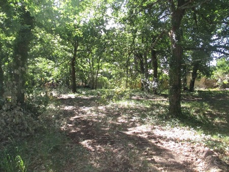 A vendre terrain Lege Cap Ferret 33950; 355 000 € 