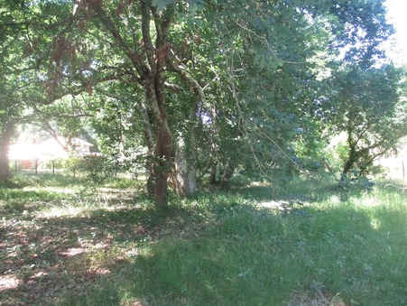 Terrain 355 000 €  Réf. SJ315 Lege Cap Ferret