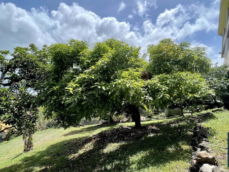 Achat maison Les Trois Ilets Réf. CAR16