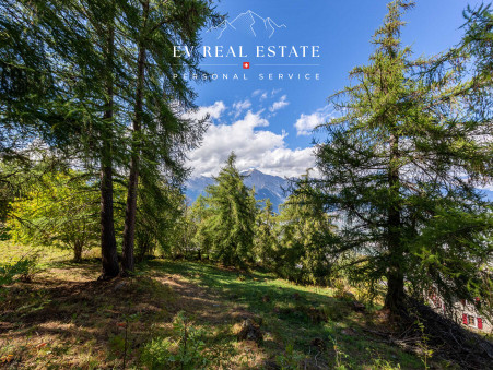 Autre 2 400 000 €  Réf. EVR25 Haute-Nendaz