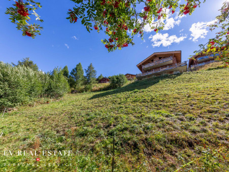 Vente autre 2 600 000 €  Haute-Nendaz