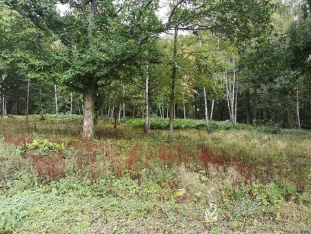 Terrain 440 000 € Réf. 267 Jouy en Josas