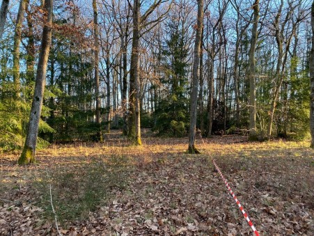 ORLEANS  160 000 €