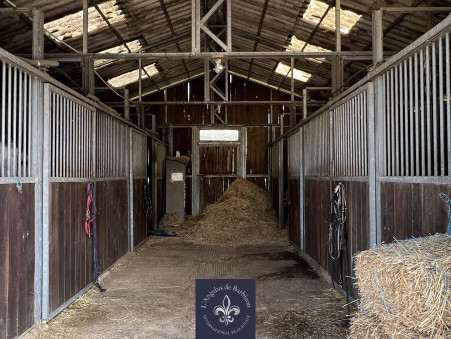 Vente propriété 1 900 000 €  Fontainebleau