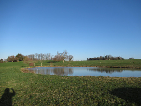 A vendre terrain Saint-Yrieix-la-Perche 87500; 42 000 €