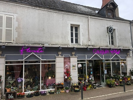 Meung-sur-Loire  282 000 €