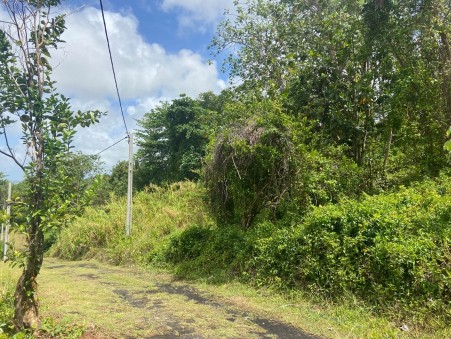 Achat surface terrain Ducos Réf. AZI6