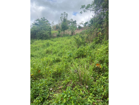 Surface terrain 105 000 €  sur Ducos (97224) - Réf. AZI7