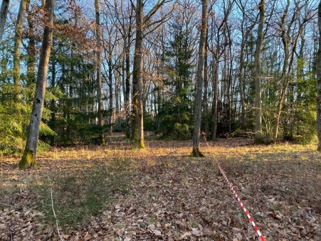 ORLEANS  179 000 €
