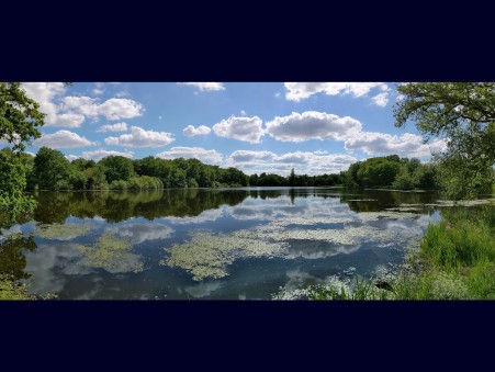 Achat chateau Orleans Réf. 212