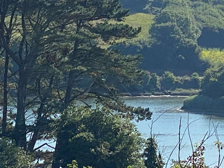 Achat maison Plouguerneau Réf. 25082AK