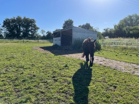 Achat maison Bourges Réf. 1405