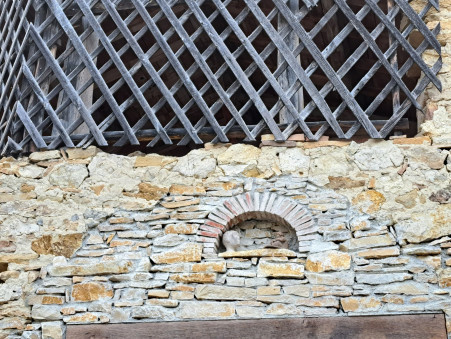 A vendre maison Aurignac 31420; 153 700 €