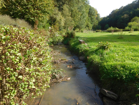 Vente maison 334 000 € Saint-Yrieix-la-Perche