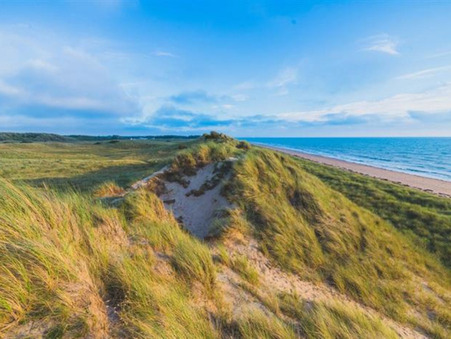 Gouville-sur-Mer  265 381 €