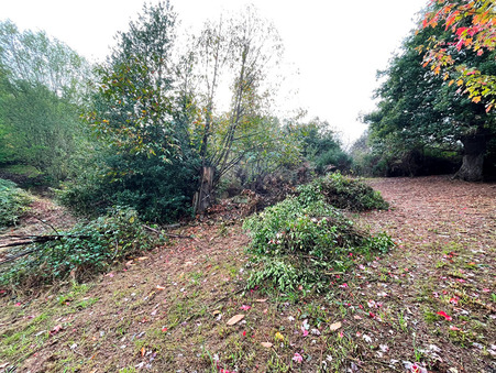 A vendre maison Montfort sur Meu 35160; 386 100 €