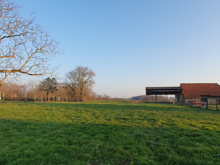Terrain sur St Etienne en Bresse ; prix nous consulter ; Achat Réf. 4478