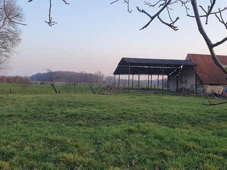 Terrain sur St Etienne en Bresse ; prix nous consulter ; Achat Réf. 4478