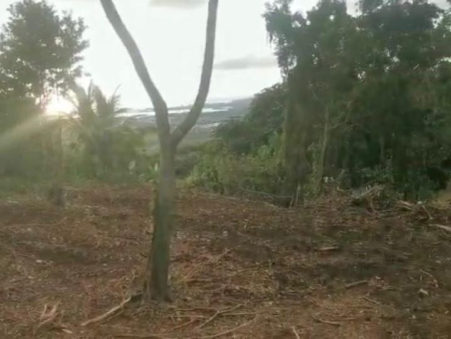 Surface terrain sur Le Lamentin ; 154 000 € ; A vendre Réf. A2ZI16