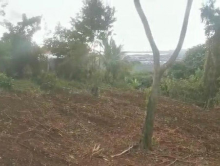 Surface terrain 154 000 € Réf. A2ZI16 Le Lamentin