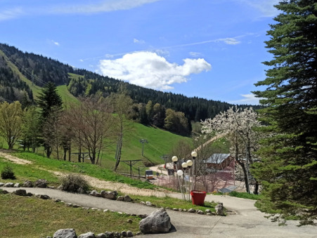 A vendre appartement Villard de Lans 38250; 68 000 € 