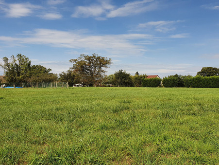 Terrain sur Baudrieres ; prix nous consulter ; A vendre Réf. 4201