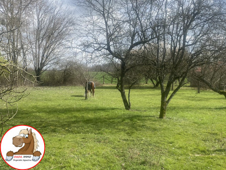 Vente Propriete COULOMMIERS Réf. 334 - Slide 6