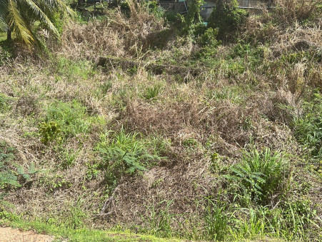 Surface terrain 82 000 €  sur Saint-Esprit (97270) - Réf. A2ZI19