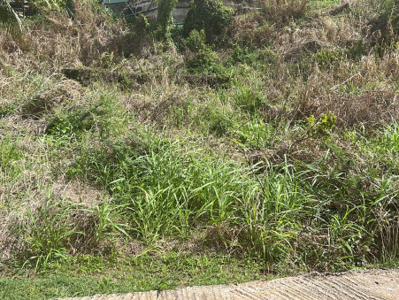 A vendre surface terrain Saint-Esprit 97270; 82 000 € 