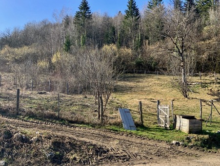 A vendre terrain St Claude 39200; prix nous consulter