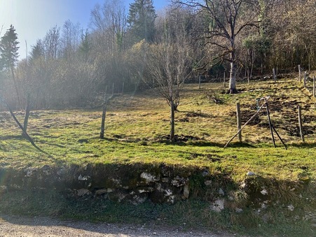 Achat terrain St Claude Réf. CJ4448