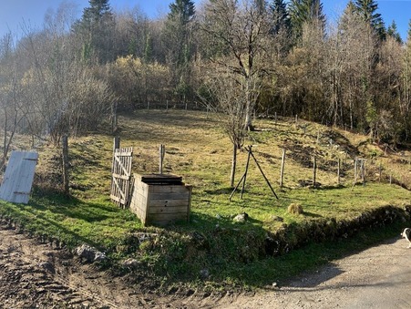 Vente terrain prix nous consulter St Claude