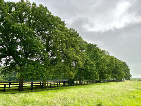 Propriété sur Lisieux ; 2 520 000 € ; Vente Réf. 6929