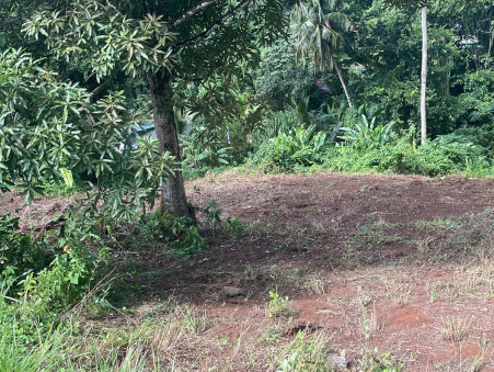 Vente surface terrain 95 000 €  Le Robert