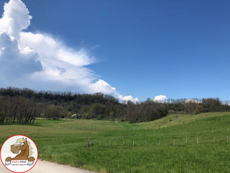 Vente Propriete Annecy Réf. 345 - Slide 4