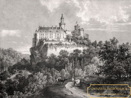 Chateau 800 000 &euro;  Réf. 238 Veauce