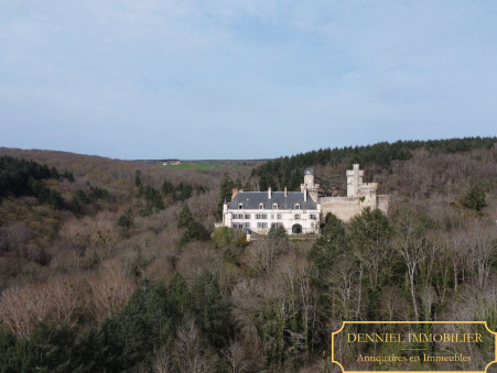 Chateau 800 000 &euro;  sur Veauce (03450) - Réf. 238