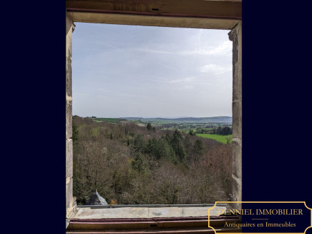 A vendre chateau Veauce 03450; 800 000 &euro; 