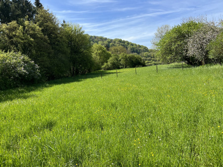 VIVIERS SUR CHIERS 95 000 €