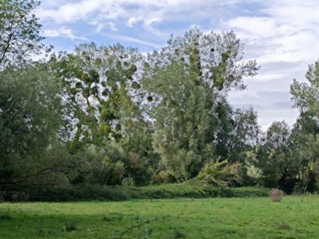 CAMBRON 78 500 €